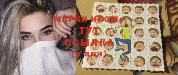 амф Верхний Тагил