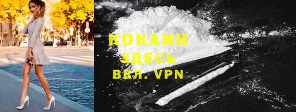 амф Верхний Тагил