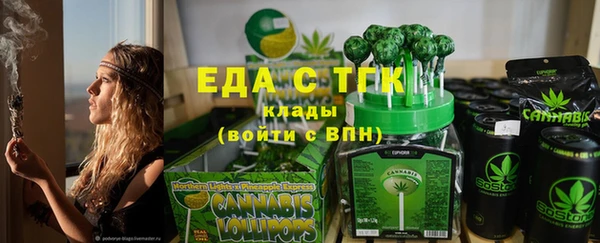 амф Верхний Тагил