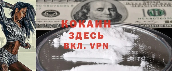амф Верхний Тагил