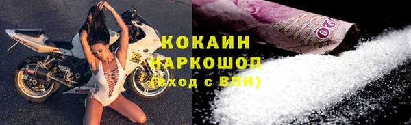 амф Верхний Тагил